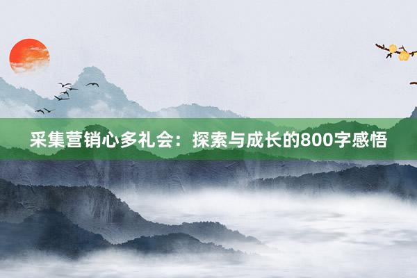 采集营销心多礼会：探索与成长的800字感悟